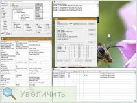 Увеличить Увеличить