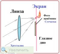 Увеличить Увеличить