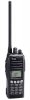 Icom IC-F3061